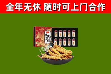 秦皇岛回收冬虫夏草价格